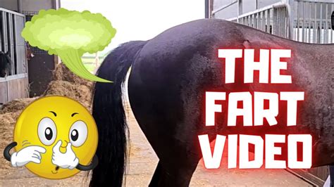 farting porno|fart videos